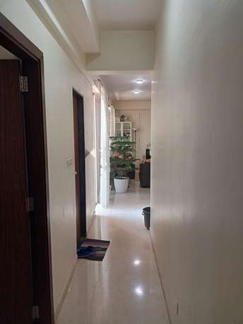1 BHK Apartment For Rent in Palladium Homes Dhanori Pune 7218132