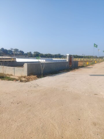  Plot For Sale in Yamuna Expressway