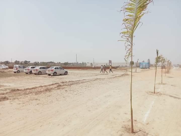 Plot For Resale in Jewar Greater Noida  7218682