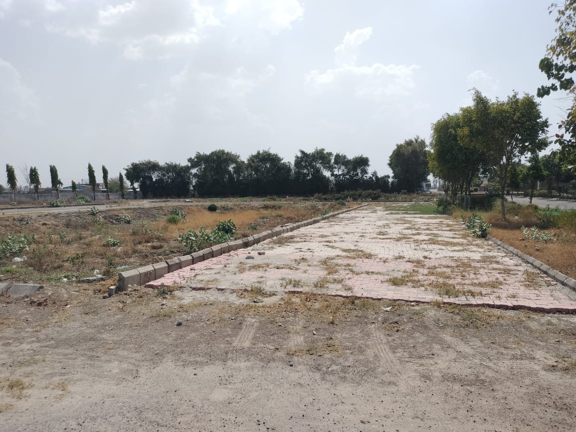 Plot For Resale in Sector 36 Panipat  7218874