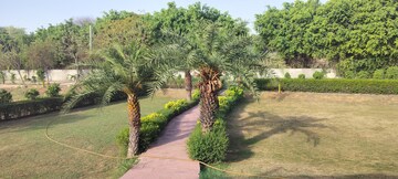  Plot For Sale in Jewar