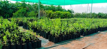  Plot – Garden View at Alair - for Sale