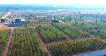  Plot – Garden View at Alair - for Sale
