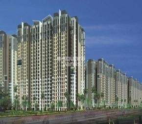 2 BHK Apartment For Rent in Amrapali Golf Homes Sector 4, Greater Noida Greater Noida  7220080