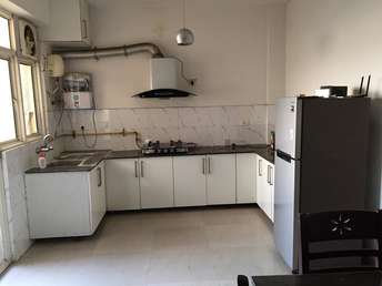 3 BHK Apartment For Rent in Gaur Sportswood Sector 79 Noida  7222058