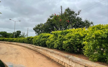 Plot Area in  Plot at Shadnagar – for Sale