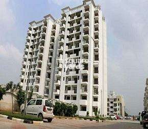 3 BHK Apartment For Rent in NK Sharma Savitry Greens 2 Lohgarh Zirakpur  7223459
