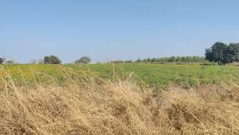 Commercial Land 1 Acre For Resale In Domaripochampally Hyderabad 7223514