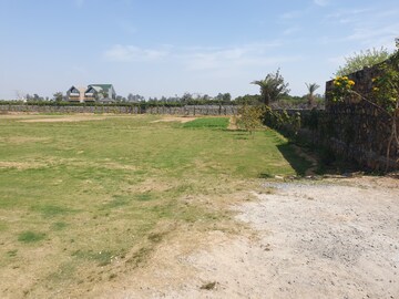 Plot Area in  Land at Sultanpur – for Sale