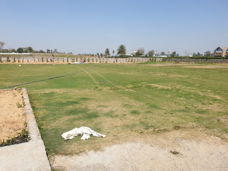 undefined, sultanpur Commercial Land 2420 Sq.Yd. In Sultanpur Gurgaon 7223861