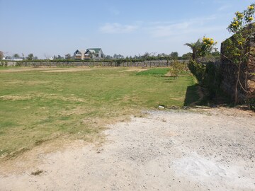 Plot Area in  Land at Sultanpur – for Sale