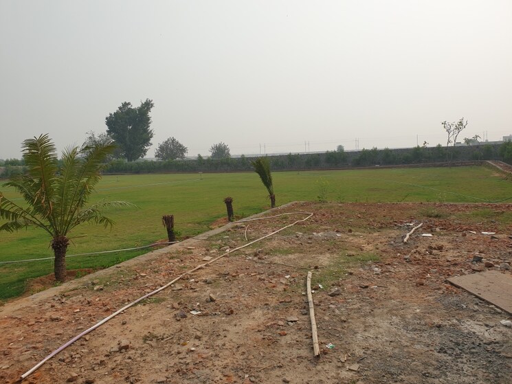 undefined, sultanpur Commercial Land 2420 Sq.Yd. In Sultanpur Gurgaon 7223861