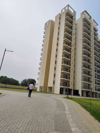 3 BHK Apartment For Resale in GLS Arawali Home Sohna Sector 4 Gurgaon  7224089