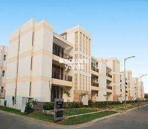 3 BHK Builder Floor For Rent in Puri Vip Floors Sector 81 Faridabad  7224483