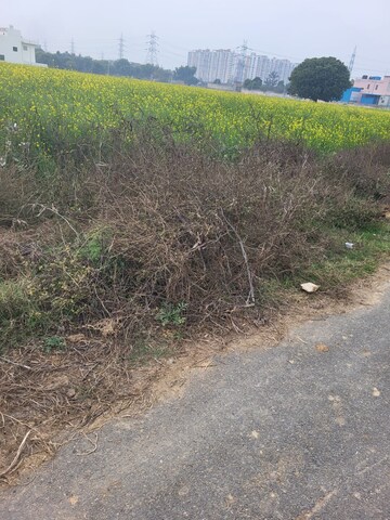 Plot Area in  Plot at Sector 27 Yamuna Expressway – for Sale