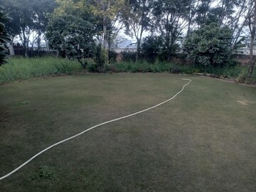 Plot Area in  Land at Sultanpur – for Sale