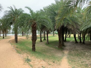  Land – Exterior View View at Sultanpur - for Sale