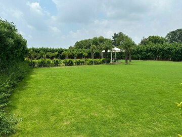 Plot Area in  Land at Sultanpur – for Sale