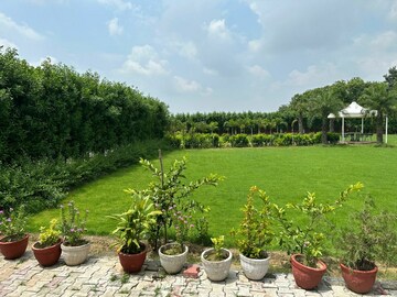  Land – Exterior View View at Sultanpur - for Sale