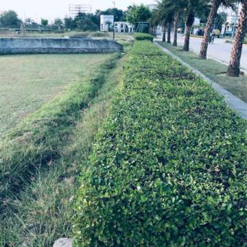  Plot – Garden View at Sultanpur Road - for Sale