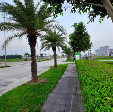  Plot – Exterior View View at Sultanpur Road - for Sale