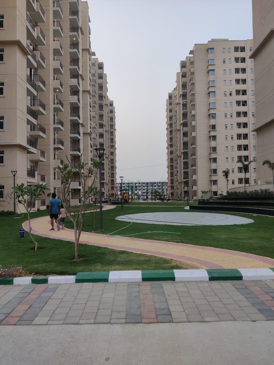 2 BHK Apartment For Rent in Shree Vardhman Green Court Sector 90 Gurgaon  7227655