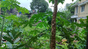 2.5 BHK Villa – Garden View at Vasai West - for Sale
