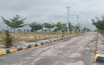 Plot For Sale in Yapral