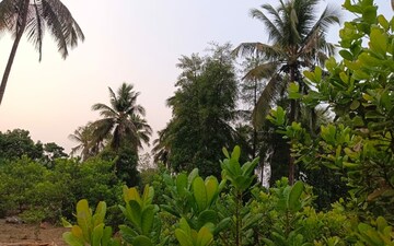 Plot For Sale in Pratap Nagar
