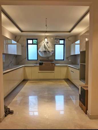 3 BHK Builder Floor For Rent in Sector 23 Gurgaon  7231042