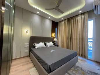 Studio Builder Floor For Rent in Sector 22 Gurgaon 7231092