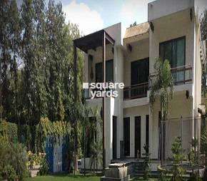 3 BHK Builder Floor For Resale in DLF Chattarpur Farms Chattarpur Delhi  7231163