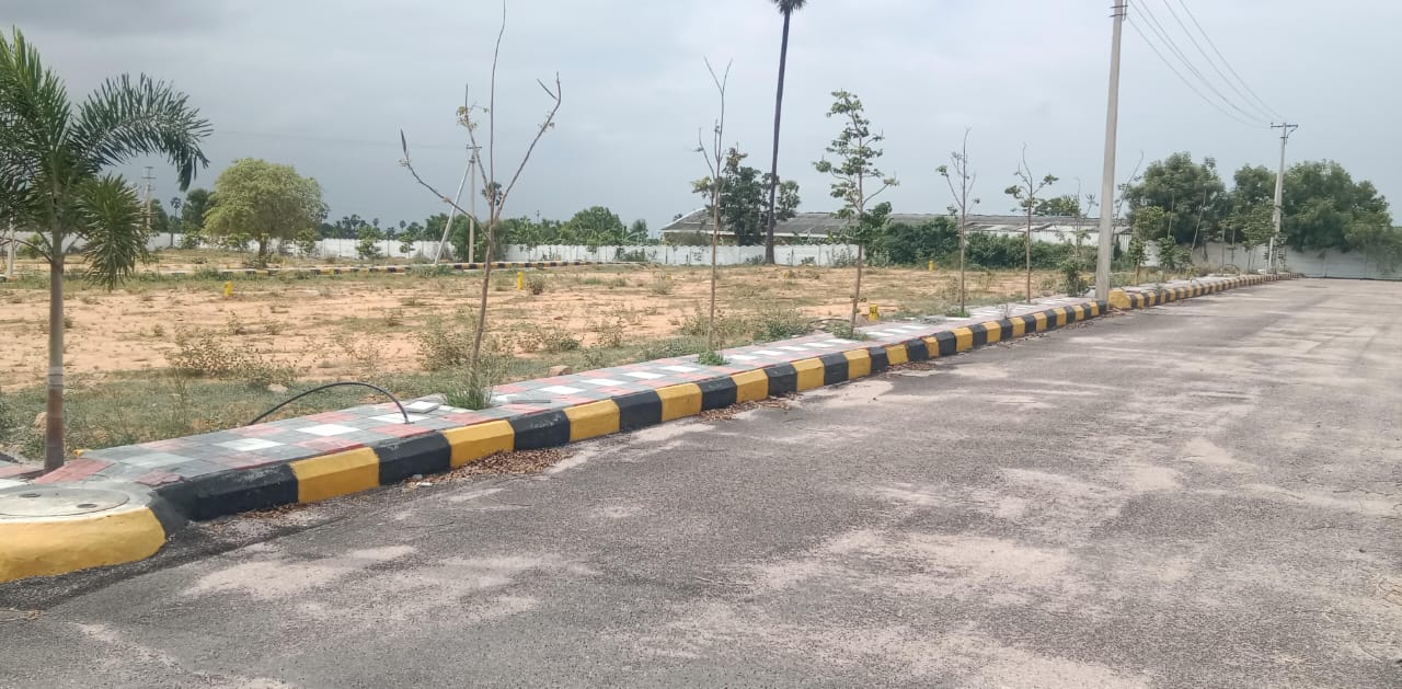 Plot For Resale in Adarsh Nagar Hyderabad  7231261