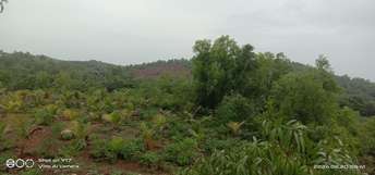 Plot For Resale in Dapoli Ratnagiri  7231394