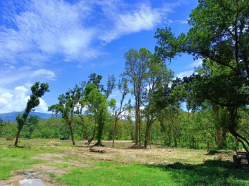 Plot Area in  Plot at Manduwala – for Sale