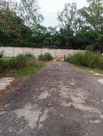 Plot Area in  Plot at Raj Nagar Extension – for Sale