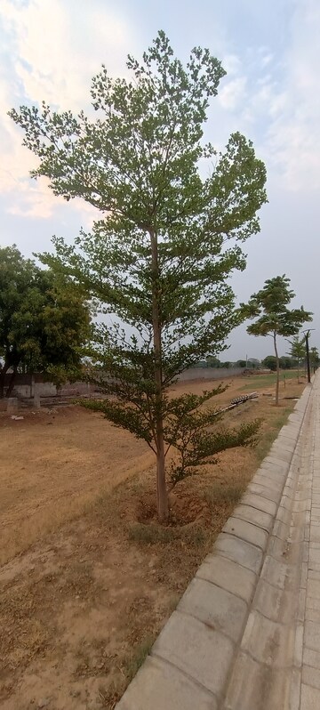 Plot Area in  Plot at Lightstone La Dimora City Phase 2, Sector 97 – for Sale
