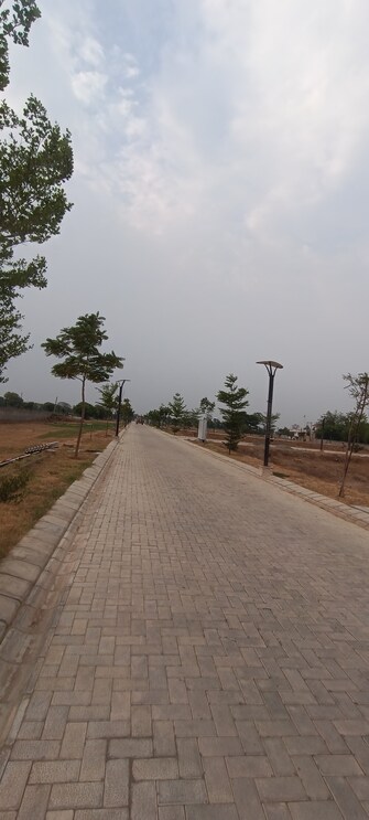 Plot For Resale in Lightstone La Dimora City Sector 97 Faridabad  7232531