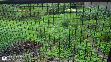  Plot – Exterior View View at Vasai West - for Sale