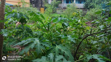  Plot – Exterior View View at Vasai West - for Sale