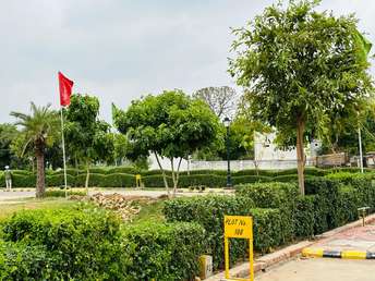  Plot For Resale in Omaxe City   Omaxe Heights Sector 97 Faridabad 7232883