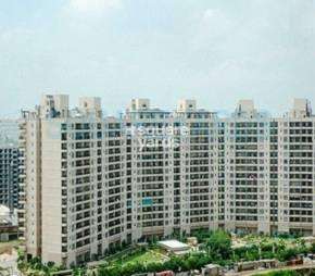 3 BHK Apartment For Rent in Central Park II-Bellevue Sector 48 Gurgaon  7232954