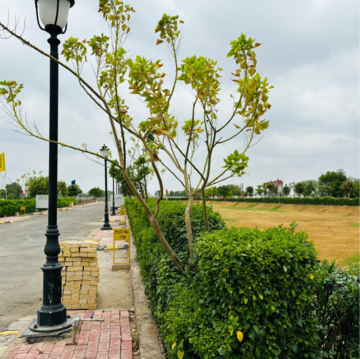  Plot – Garden View at Sector 97 - for Sale
