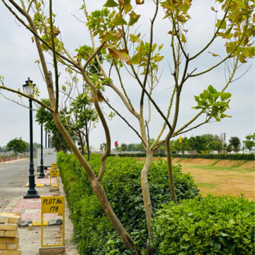  Plot – Garden View at Sector 97 - for Sale