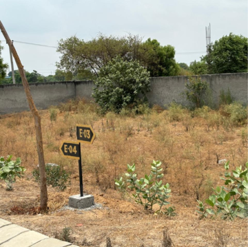 Plot Area in  Plot at Sector 97 – for Sale