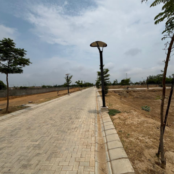 Plot Area in  Plot at Sector 97 – for Sale