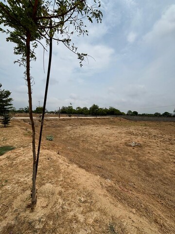 Plot Area in  Plot at Lightstone La Dimora City, Sector 97 – for Sale