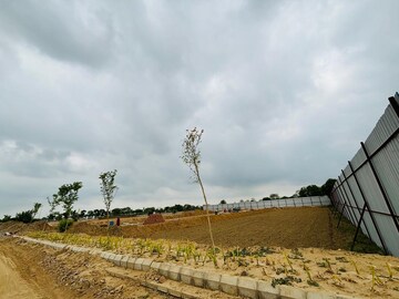 Plot Area in  Plot at Sector 59 – for Sale