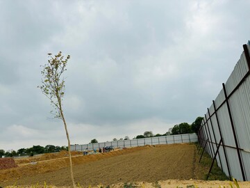 Plot Area in  Plot at Sector 59 – for Sale