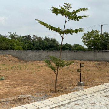 Plot Area in  Plot at Lightstone La Dimora City Phase 2, Sector 97a – for Sale